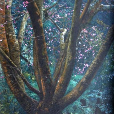 Branching Out