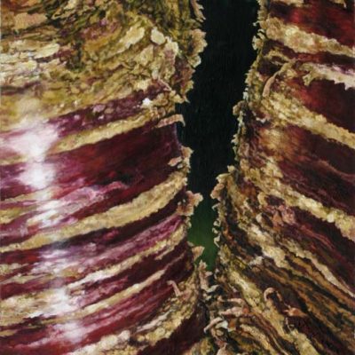 Cherry Split 