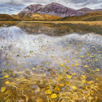 Loch Stack Lilies