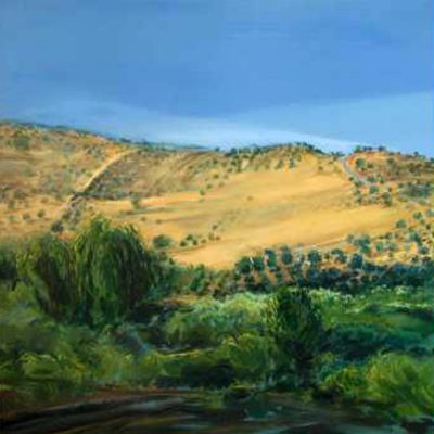 Olive Grove