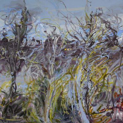 Spanish Grass 
