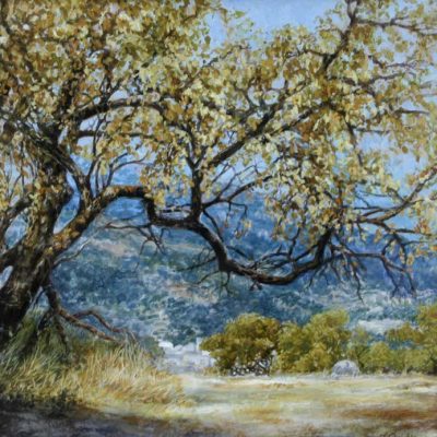 Spanish Tree