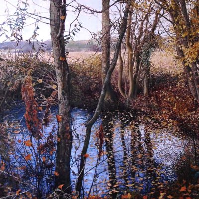 The Dew Pond