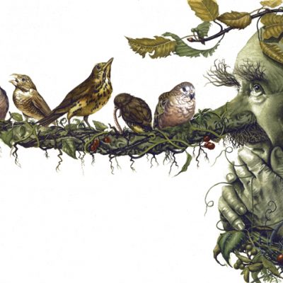 Tree Man