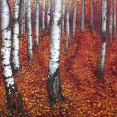 Autumn Birches 
