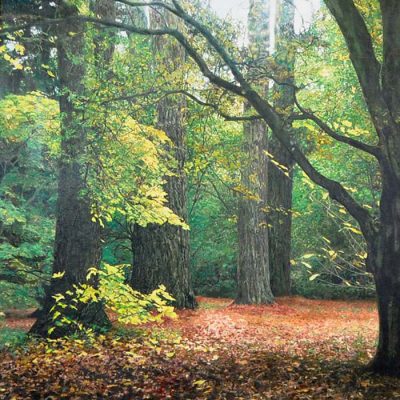 Autumn Trees